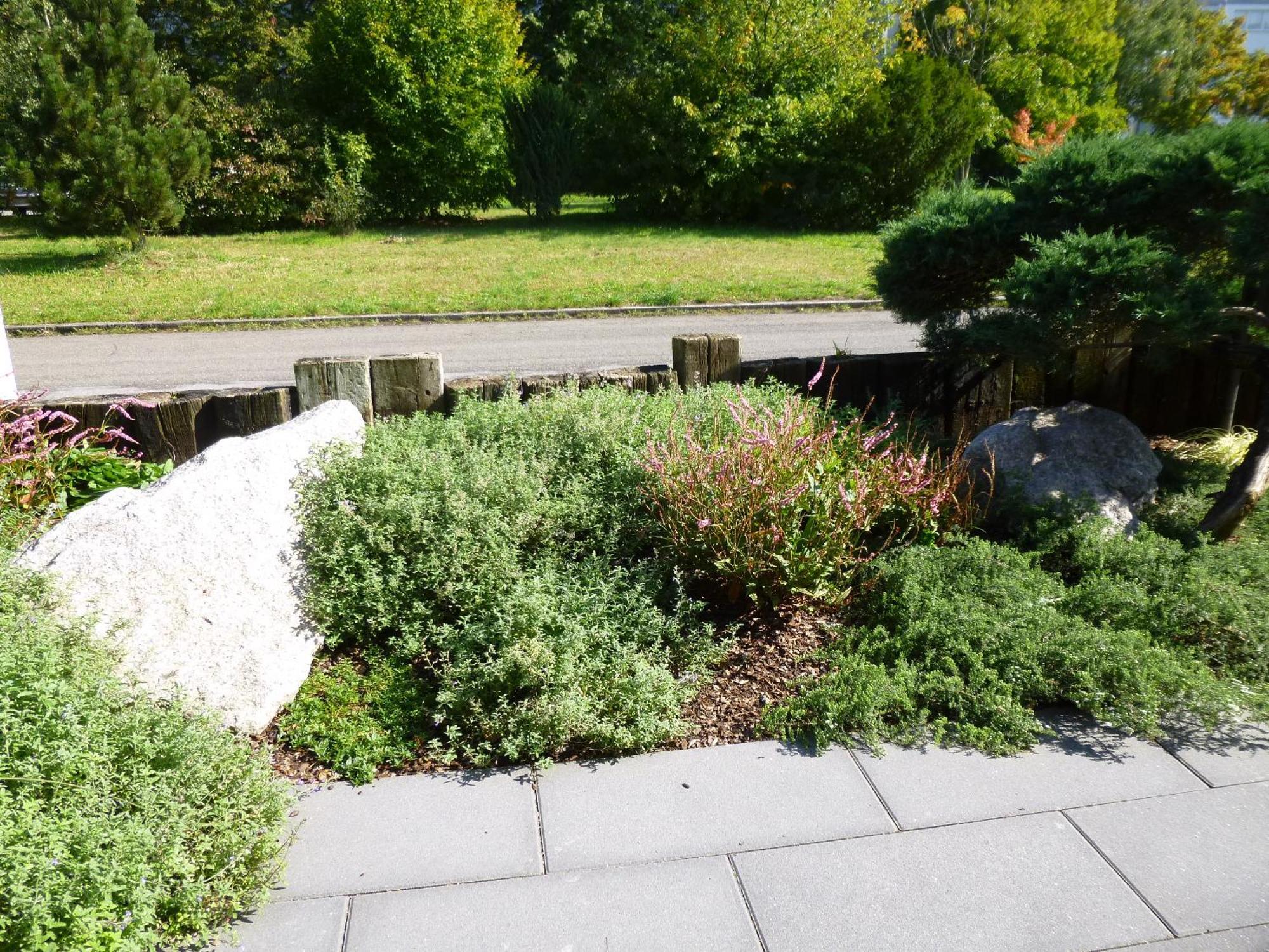 Ambiente In Karlsruhe City Exterior photo